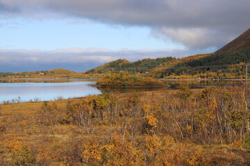 A colorful photo of the Norwegian landscape in autumn on Vesteralen islands