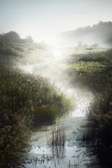 Picturesque scenery of a small river (bog) near the forest at sunrise. Morning fog, haze, sunbeams. Early autumn. Atmospheric landscape. Idyllic rural scene. Pure nature, ecology, environment - obrazy, fototapety, plakaty
