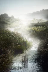 Foto auf Acrylglas Morgen mit Nebel Malerische Landschaft eines kleinen Flusses (Sumpf) in der Nähe des Waldes bei Sonnenaufgang. Morgennebel, Dunst, Sonnenstrahlen. Frühherbst. Stimmungsvolle Landschaft. Idyllische ländliche Szene. Natur pur, Ökologie, Umwelt