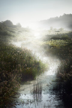 Picturesque scenery of a small river (bog) near the forest at sunrise. Morning fog, haze, sunbeams. Early autumn. Atmospheric landscape. Idyllic rural scene. Pure nature, ecology, environment