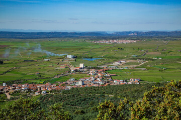 Fototapeta na wymiar Paisaje de campos verdes con arboles y pequeño pueblo 