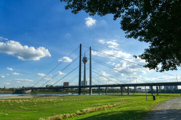 Rheinwiesen mit Brücke und Skyline in Düsseldorf