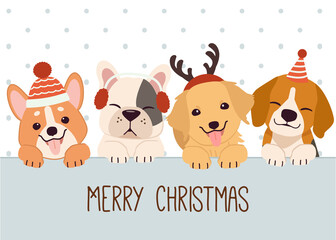 The banner of cute cat and friends with winter accerssoties in flat vector style. illustation about christmas for graphic,content , banner, sticker label and greeting card.