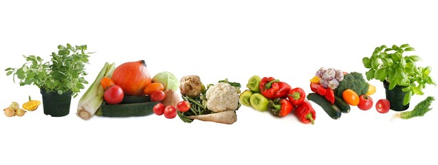 various multicolor vegetables for cooking meals