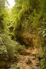 Fototapeta premium The volcanic islands Isla Ometepe and the volcanoes around Léon in Nicaragua, Central America