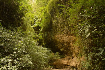 The volcanic islands Isla Ometepe and the volcanoes around Léon in Nicaragua, Central America
