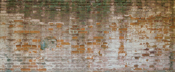 texture: old cracked brick wall painted with white paint and covered with moss