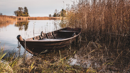Obraz premium Old oak boat chained to reeds in the Swedish archipelago during the autumn