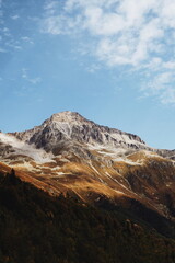 view of mountains and forest on a sunny summer day.