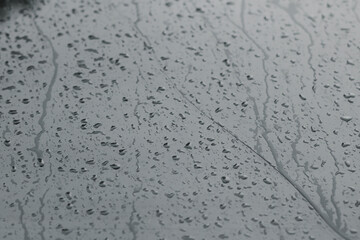 Rain on the surface of the window Stop and flow into the rain. With cloudy backgrounds, natural patterns of isolated raindrops. black and white background.
