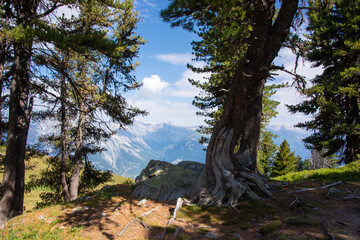 Landschaft bei Tracouet / Haute-Nendaz / 4-Vallées / Wallis / Schweiz