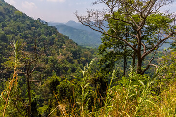A view from a train leaving Ihalakotte railway station across the jungle, Sri Lanka, Asia