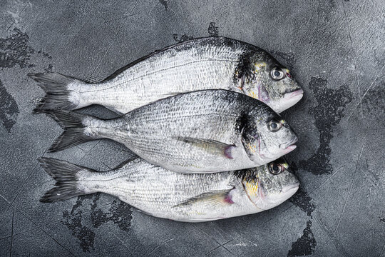 Raw three  sea bream or Gilt head bream dorada fish on grey textured background, top view.
