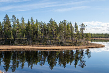 Wald Natur See in Schweden mit Spiegelung im Wasser