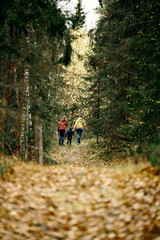 Mother, brother and sister are walking in the beautiful autumn forest. Viivis and strong colors....