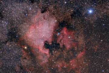 North America and Pelican Nebulae