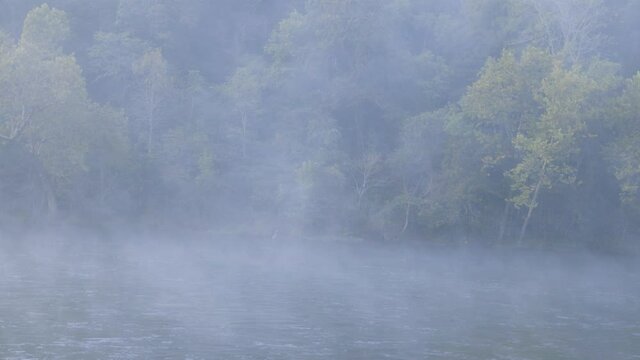 Foggy morning sunrise on the Norfork river near Mountain Home Arkansas USA Heron bird on the river bank