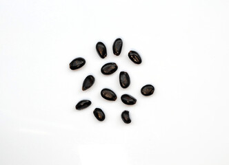 Indigenous plant seeds on white background for cultivation in agriculture.
