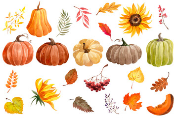watercolor autumn collection of elements: pumpkins, autumn leaves, sunflowers, twigs, berries  