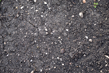 View of black fertile soil soil close up during the day