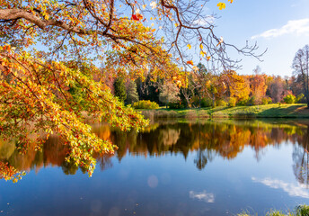 Autumn foliage in Pavlovsky park, Pavlovsk, Saint Petersburg, Russia