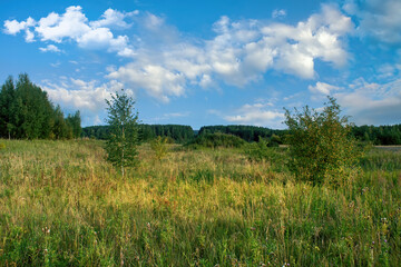 Fototapeta premium Evening landscape sunset in the mountains in early autumn.