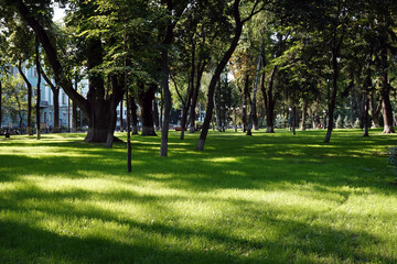 Alleys and paths in the Mariinsky Park in Kiev