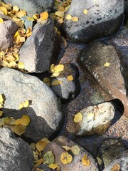stone wall with moss