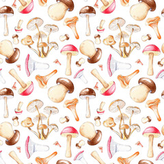 Watercolor pattern with mushrooms. Boletus, chanterelles, honey agarics, boletus, boletus.