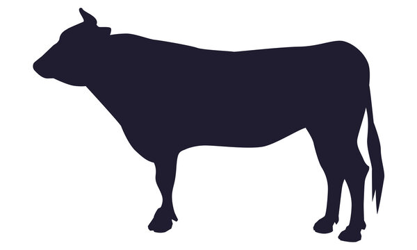 干支の動物 の画像 58 2 件の Stock 写真 ベクターおよびビデオ Adobe Stock