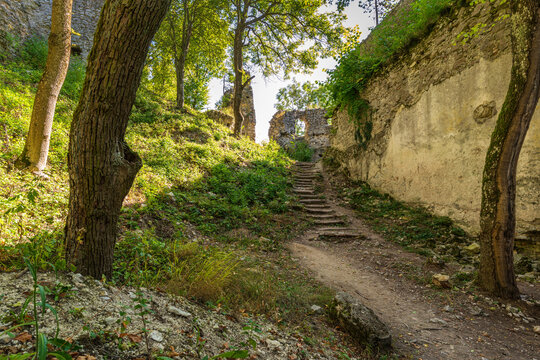 Dobra Voda castle ruins in the forest, Slovakia