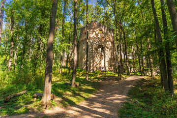 Dobra Voda castle ruins in the forest, Slovakia