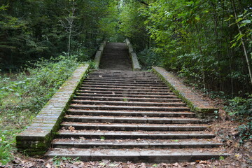 Nantes - Vallée du Cens - Escalier en pierre