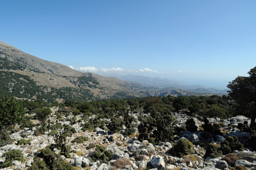 Garrigue sur la route de Kritsa au plateau de Katharo en Crète