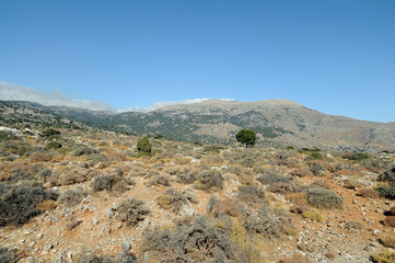 Fototapeta na wymiar Sur la route de Kritsa au plateau de Katharo en Crète