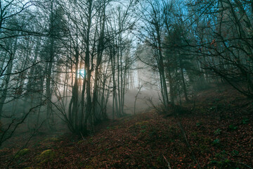 Naklejka premium Cloudy autumn day in the italian alps