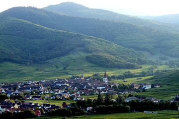 Fototapeta na wymiar Vallée de Kaysersberg