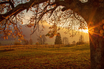 Allgäu - Herbst - traumhaft - Alpen - Hindelang