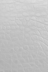 white leather texture as a background
