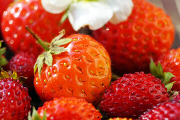 Ripe red natural strawberries grown on the farm. Macrophoto. Focus on the berry in the center of the frame.