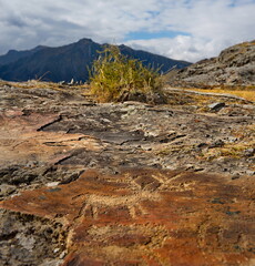 Mountain Altai. Russia. September 30, 2020. On the territory of the Chui-Oozi natural Park, located near the confluence of the Chui and Katun rivers, there are a huge number of rock paintings.