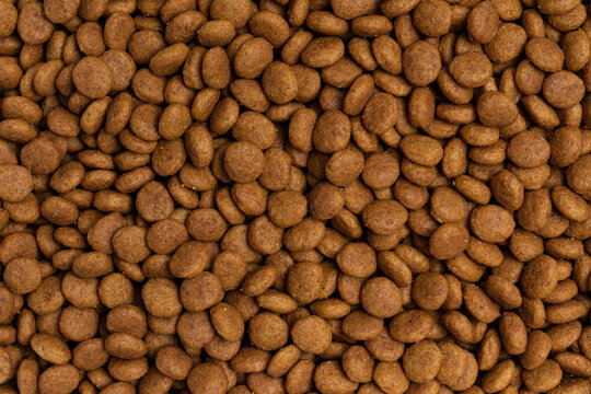 Full frame dry light brown diet pet food