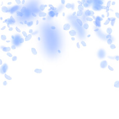 Dark blue flower petals falling down. Original rom