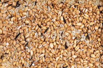 Top view full frame dry uncooked whole grain rice