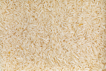 Top view full frame dry  plain white rice