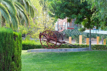 Horse drawn carriage donkeys mules ... in a park