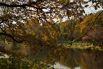 Fototapeta na wymiar Sunny autumn day in the city park.