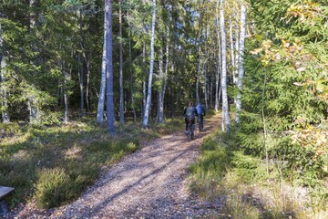 Obraz premium Beautiful view of couple on bicycles on ride in autumn forest. Health concept. Beautiful nature backgrounds.