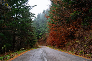 Fototapeta na wymiar Autumn ride on the mountain on an empty road.
