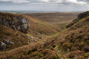 Selby's Cove, Simonside Hills